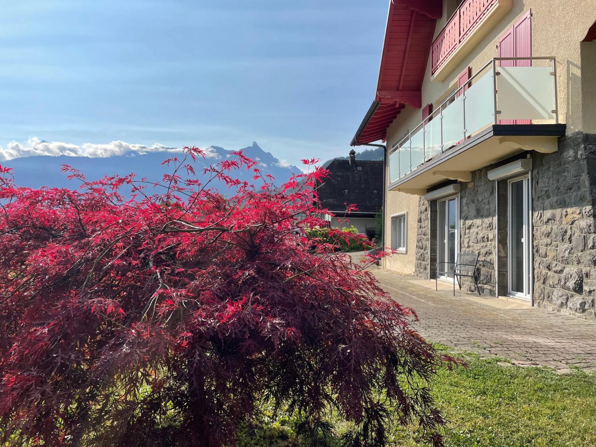 Les Dents-Du-Midi Monthey Exterior foto