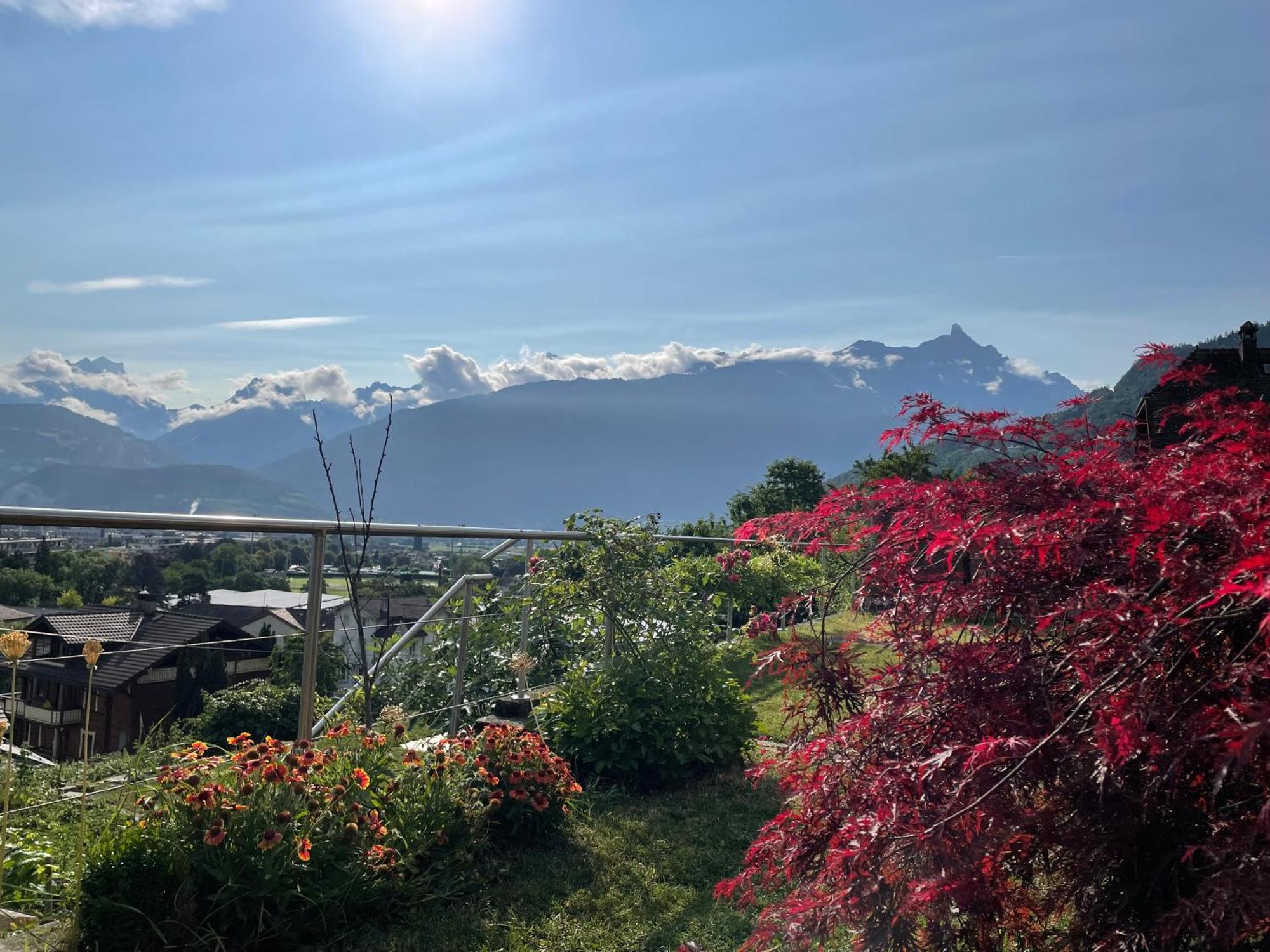 Les Dents-Du-Midi Monthey Exterior foto
