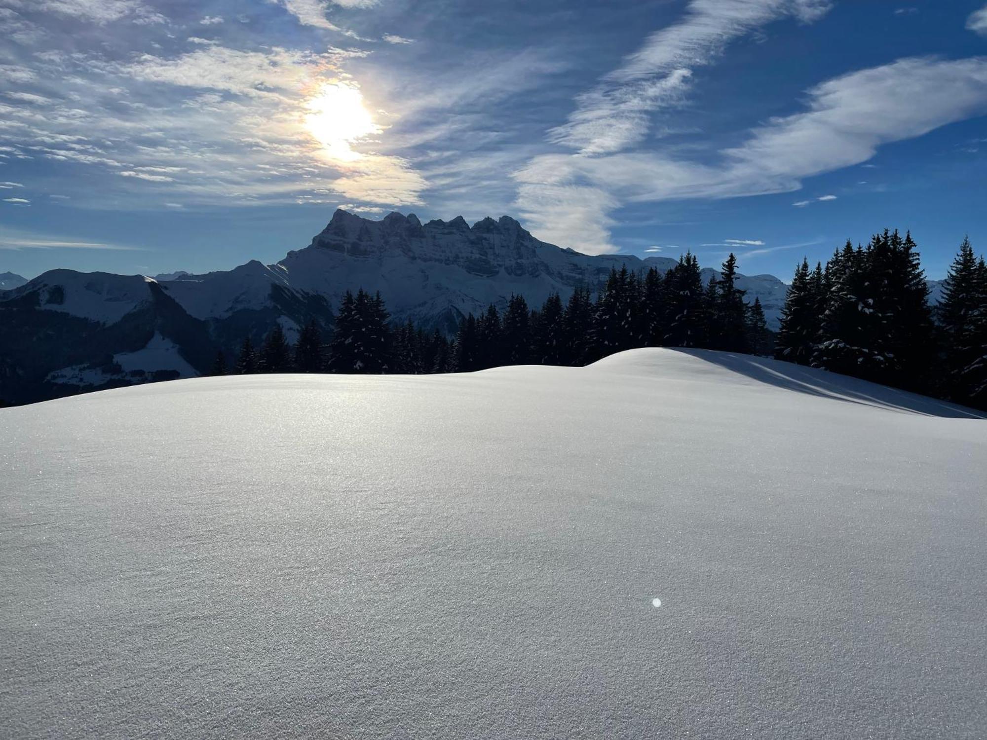 Les Dents-Du-Midi Monthey Exterior foto